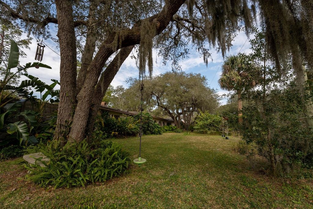 708 Prince Road St. Augustine, FL 32086 - Photo 36 of 41 a view of a trees