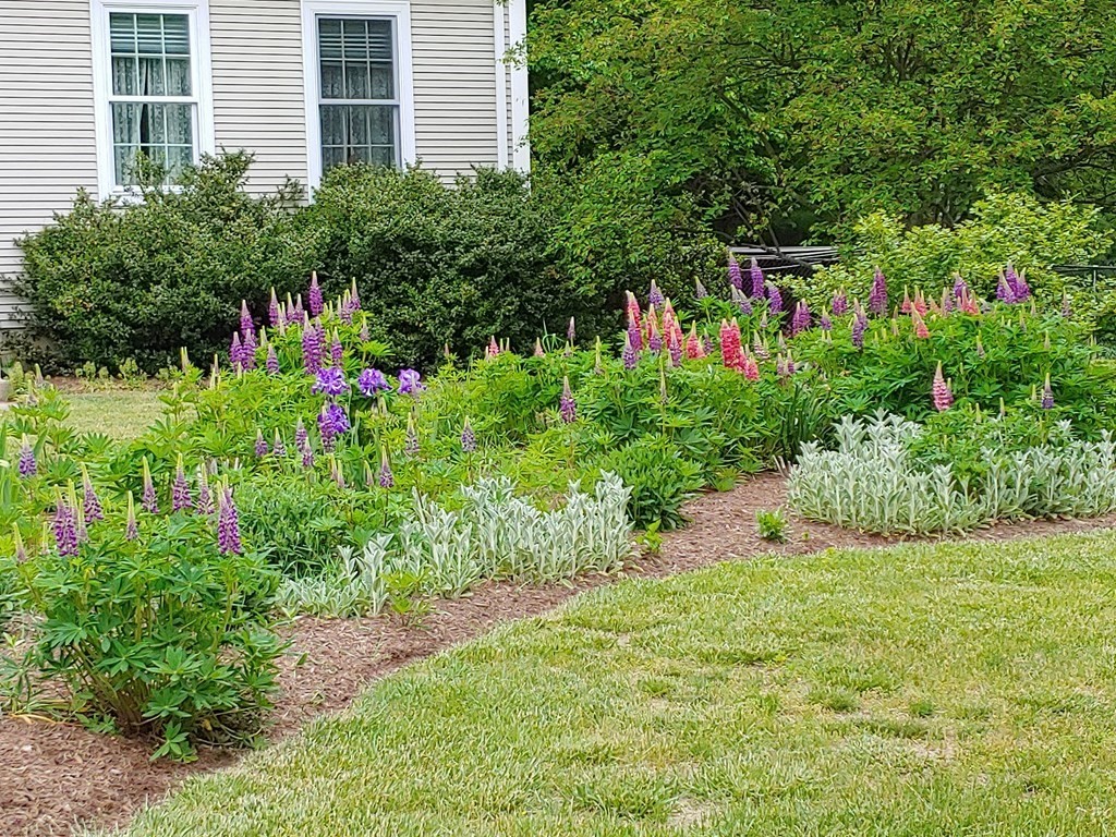 2 High Meadow Road Hadley, MA 01035 - Photo 31 of 37 Gallery Image 31