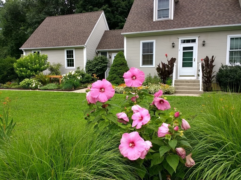 2 High Meadow Road Hadley, MA 01035 - Photo 33 of 37 Gallery Image 33