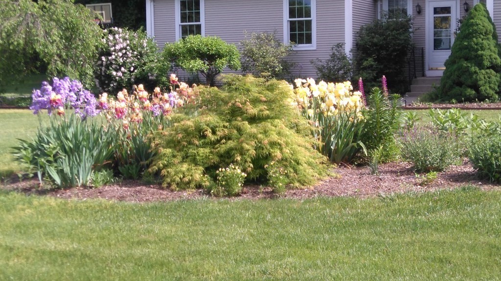 2 High Meadow Road Hadley, MA 01035 - Photo 36 of 37 Gallery Image 36