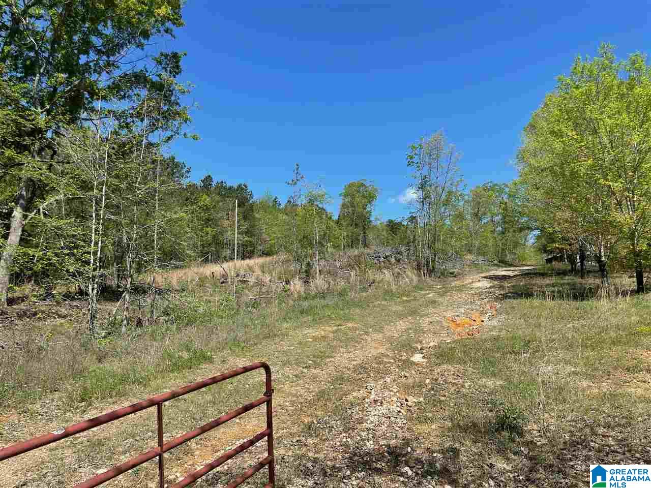 499 Greensport Road Ohatchee, AL 36271 - Photo 11 of 12