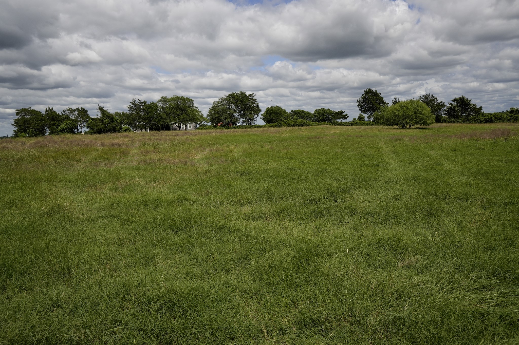 1432 South Knezek Road Flatonia, TX 78941 - Photo 13 of 16