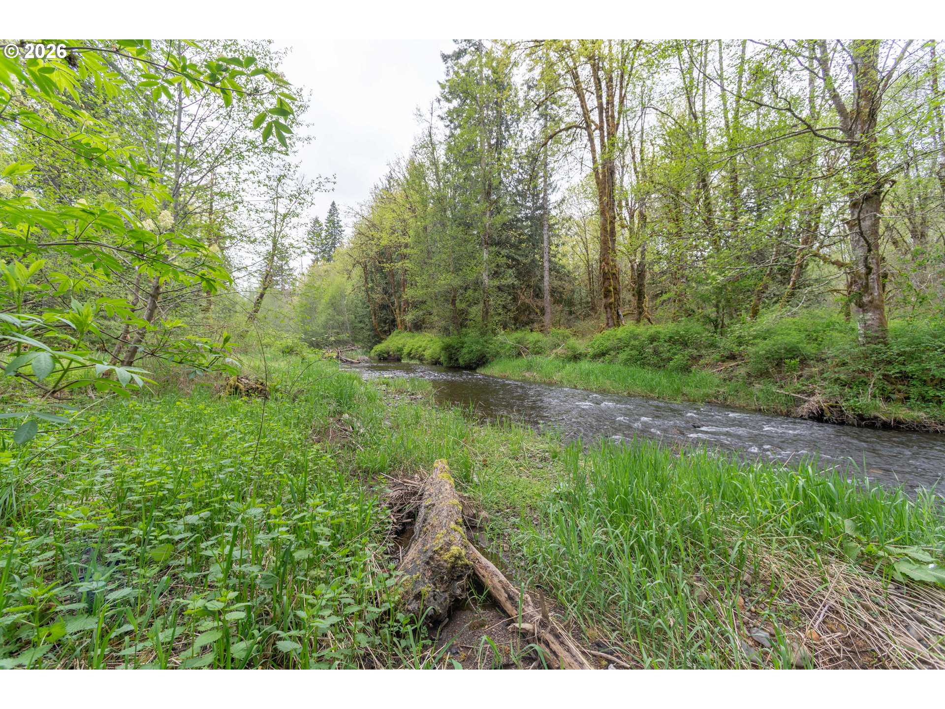 60045 Northwest Railroad Avenue Timber, OR 97144 - Photo 40 of 41 a view of a lush green forest