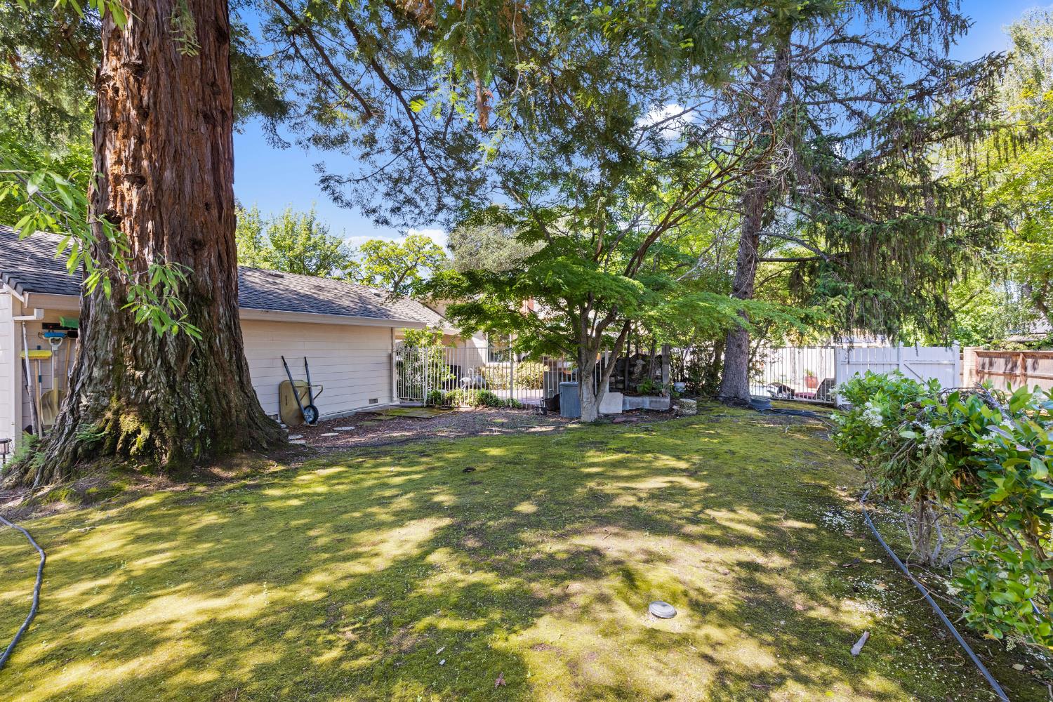 5625 Foothill Road Rocklin, CA 95677 - Photo 51 of 69