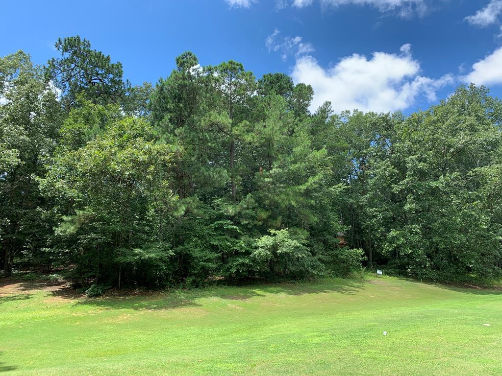 2 Trail Ridge Court Aiken, SC 29803 - Photo 4 of 6