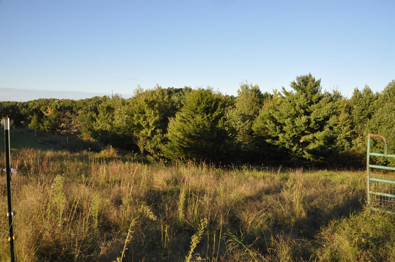 1471 Dedman Branch Road West Liberty, KY 41472 - Photo 75 of 98 Photo 75