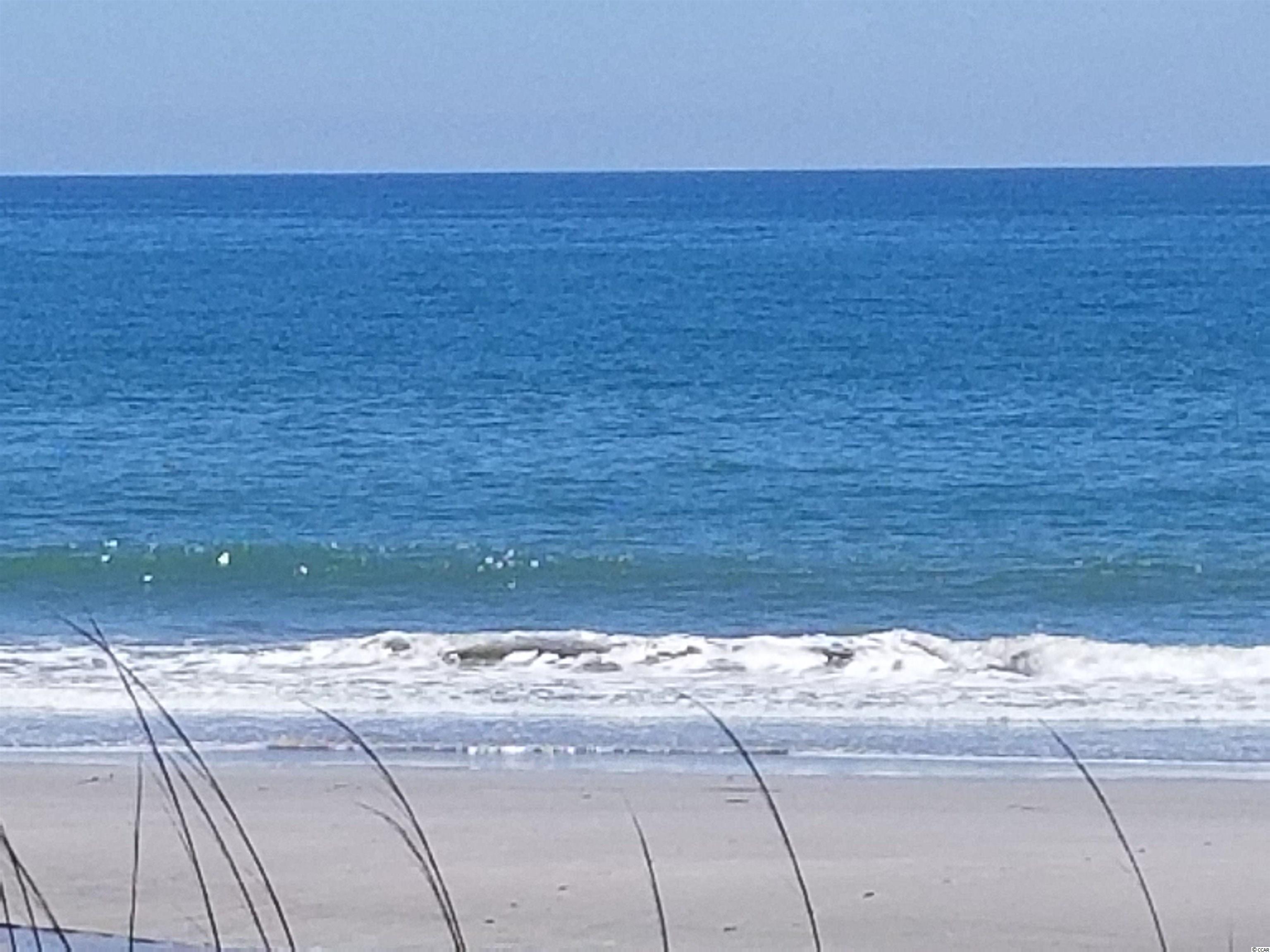 1475 Highway 319 Aynor, SC 29544 - Photo 32 of 32