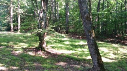 3104 Hopkins Road Rocky Mount, VA 24151 - Photo 14 of 27 0628161708a