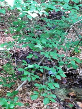 3104 Hopkins Road Rocky Mount, VA 24151 - Photo 26 of 27 0629161034a_HDR