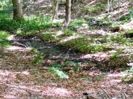 3104 Hopkins Road Rocky Mount, VA 24151 - Photo 27 of 27 0629161035a_HDR