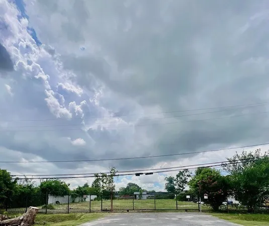 a view of a yard with a wooden fence