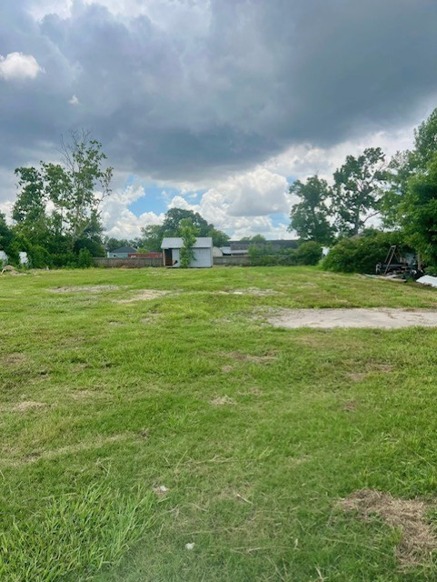4310 Bennington Street Houston, TX 77016 - Photo 6 of 6 a yard with swimming pool and green space