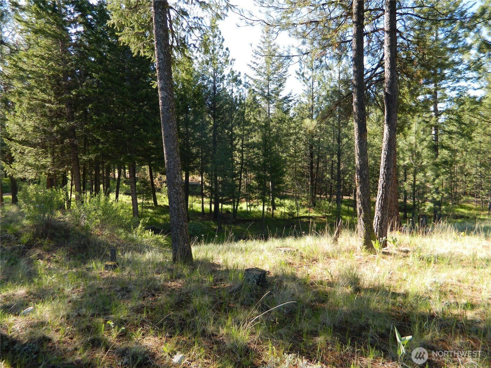 151 Indian Mary Loop Road Tonasket, WA 98855 - Photo 16 of 20