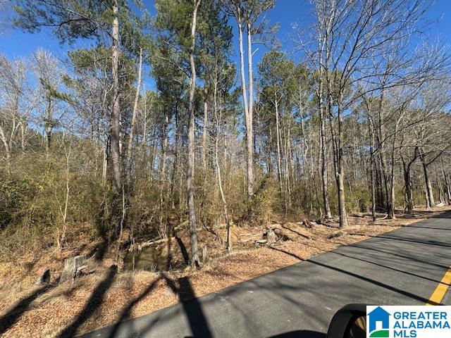 437 Hall Burton Road, Unit 1 Sumiton, AL 35148 - Photo 5 of 6