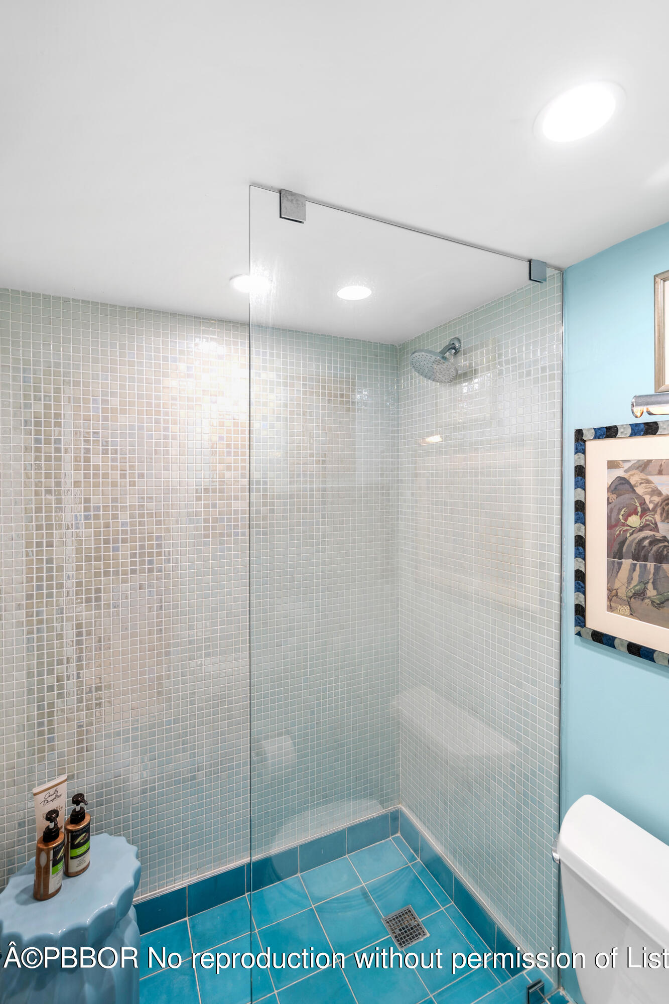 Undisclosed Address Palm Beach, FL 33480 - Photo 13 of 17 a bathroom with a shower and a toilet