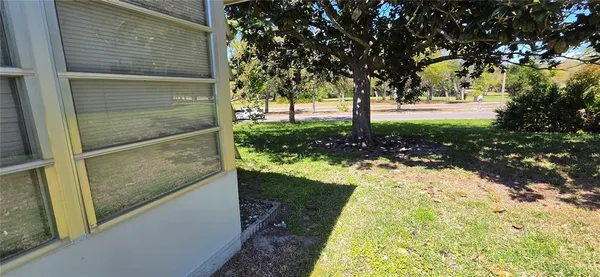a view of a yard with an trees