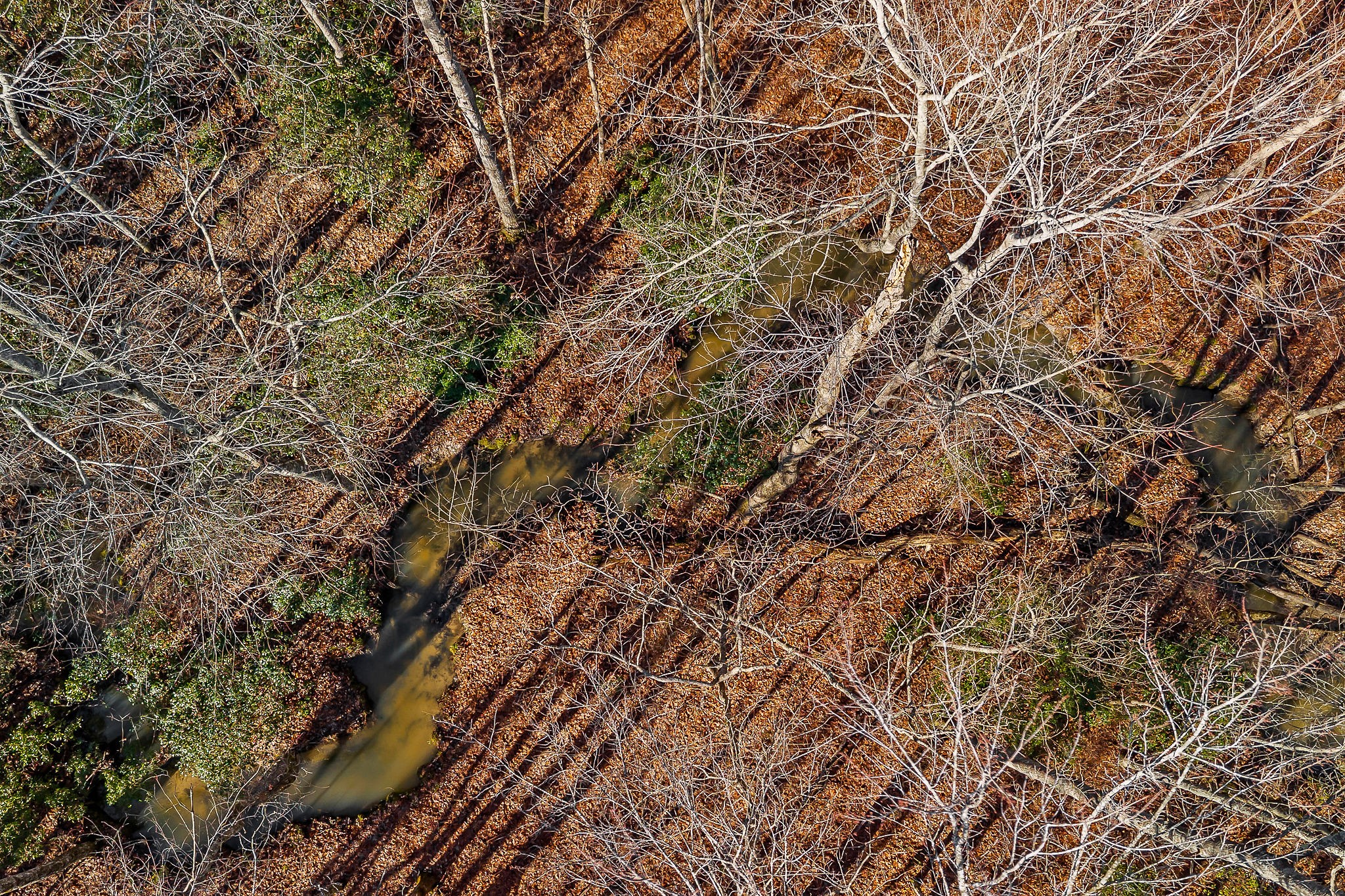 0 East Overlook Road East Monterey, TN 38574 - Photo 11 of 17