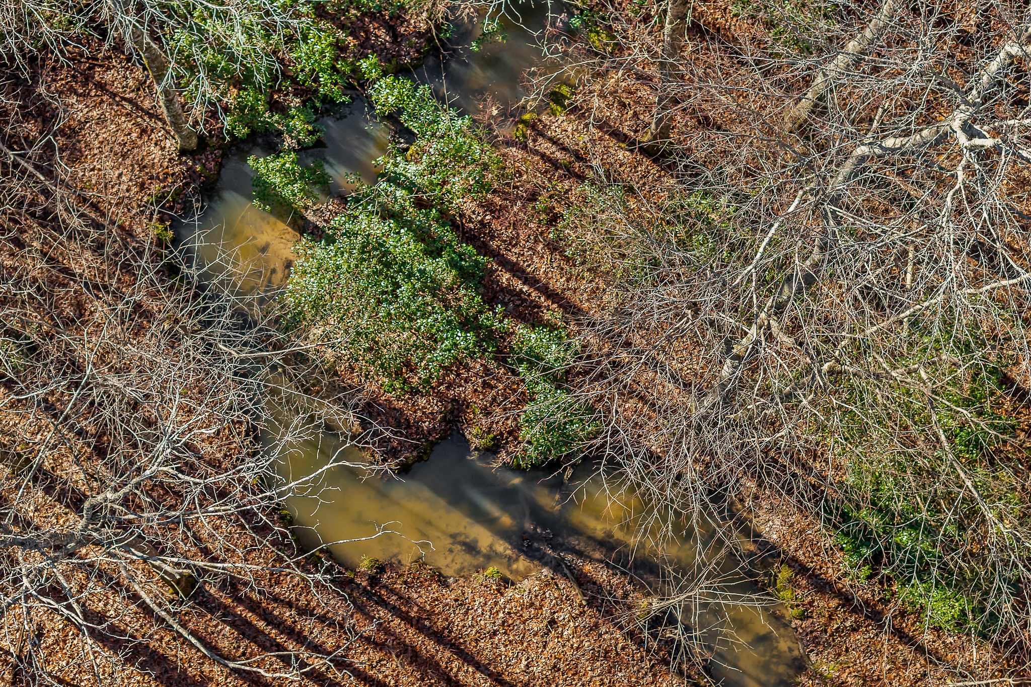 0 East Overlook Road East Monterey, TN 38574 - Photo 12 of 17