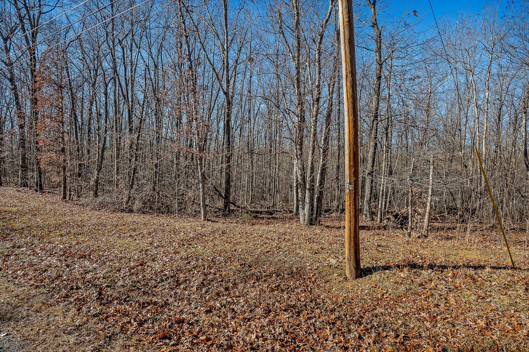 0 East Overlook Road East Monterey, TN 38574 - Photo 17 of 17