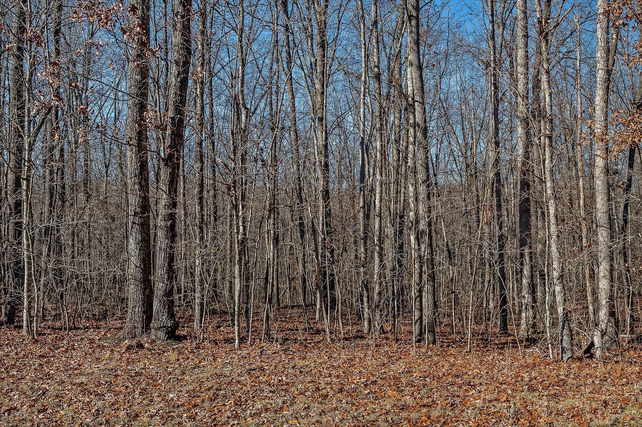 0 East Overlook Road East Monterey, TN 38574 - Photo 3 of 17