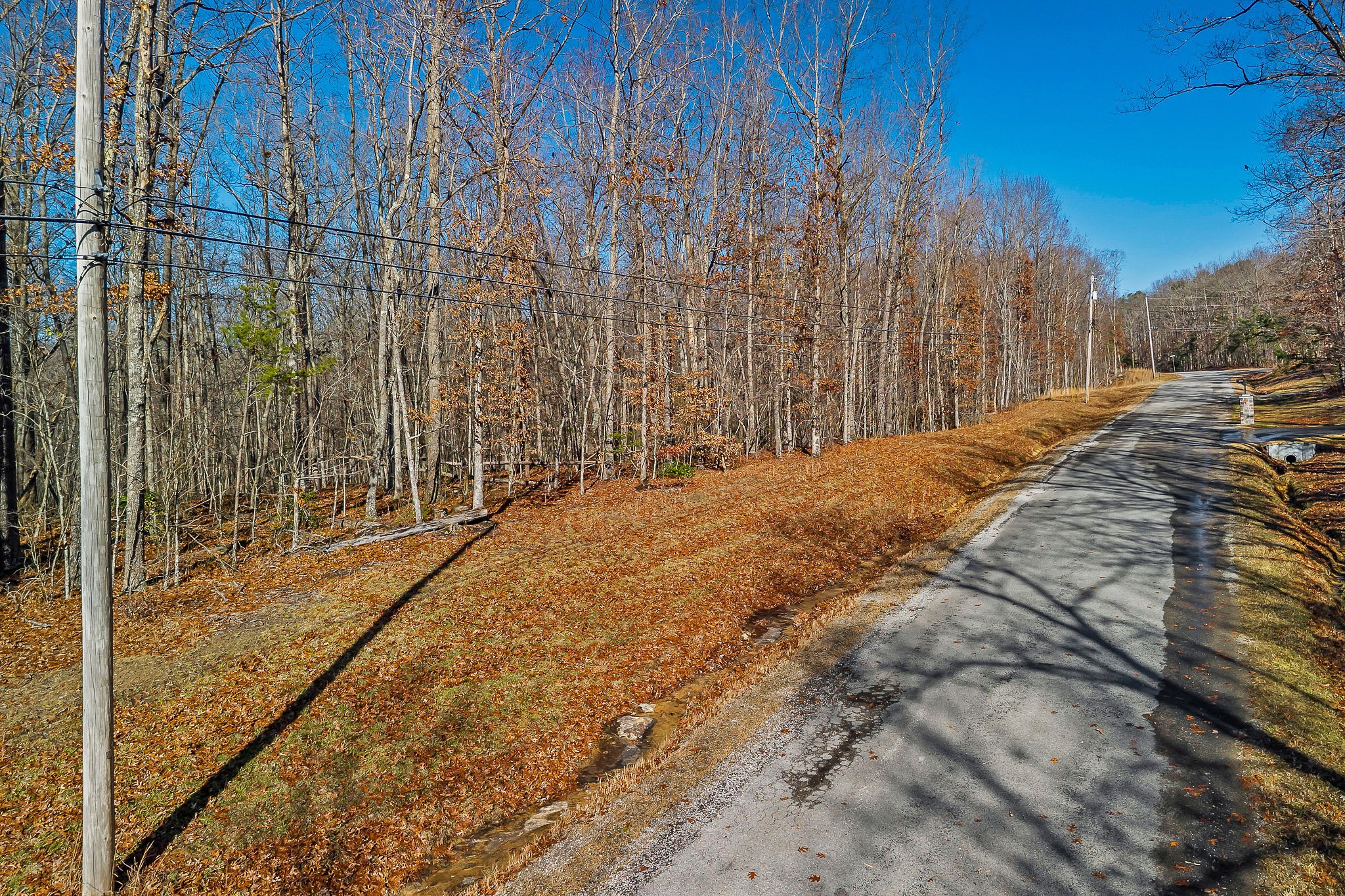 0 East Overlook Road East Monterey, TN 38574 - Photo 5 of 17