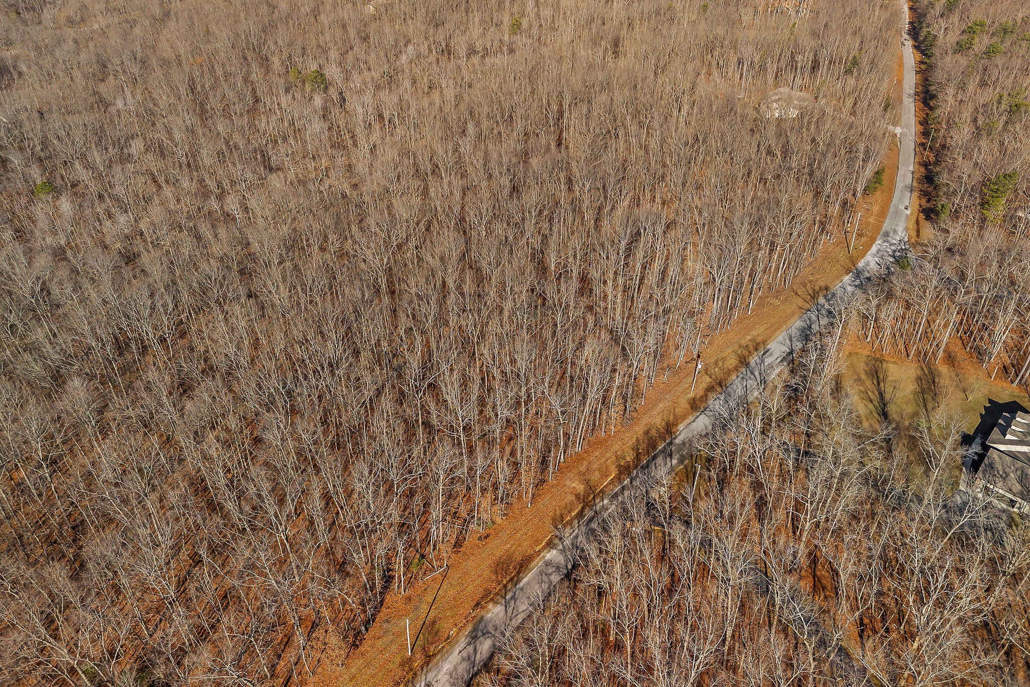 0 East Overlook Road East Monterey, TN 38574 - Photo 10 of 17