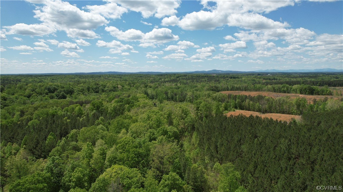 2515 Jerico Road Buckingham, VA 23921 - Photo 46 of 48 a view of a bunch of trees