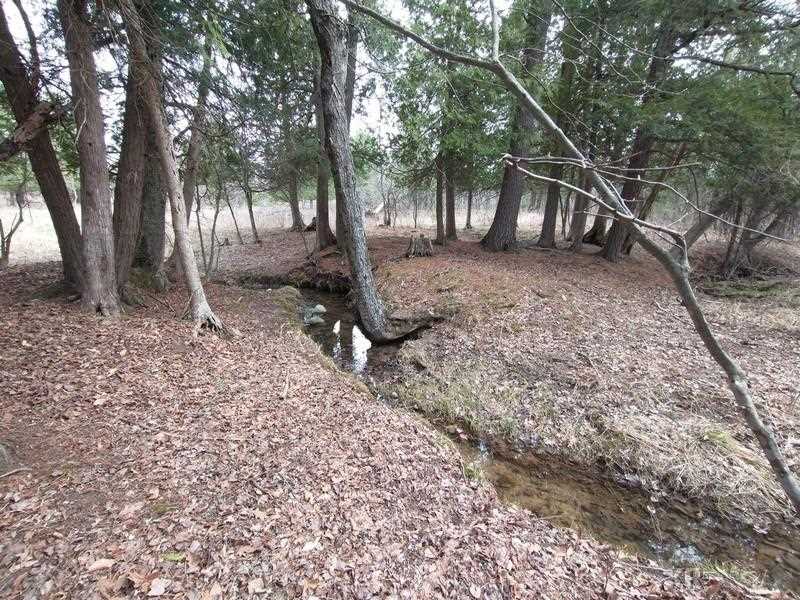 50-acres Sugar River Road Gladwin, MI 48624 - Photo 1 of 29