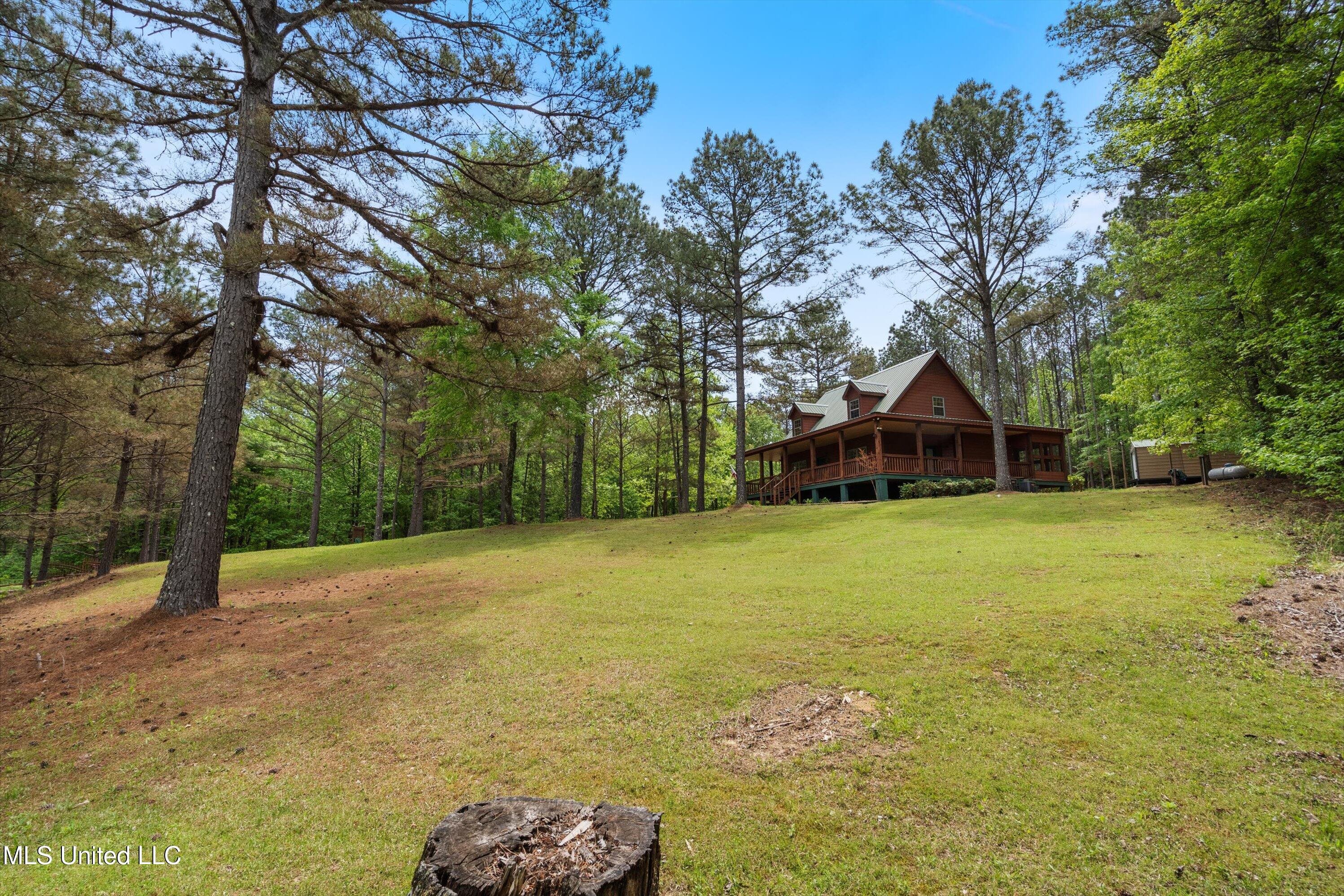 498 Chickasaw Ridge Pope, MS 38658 - Photo 11 of 43 06-DSC6049