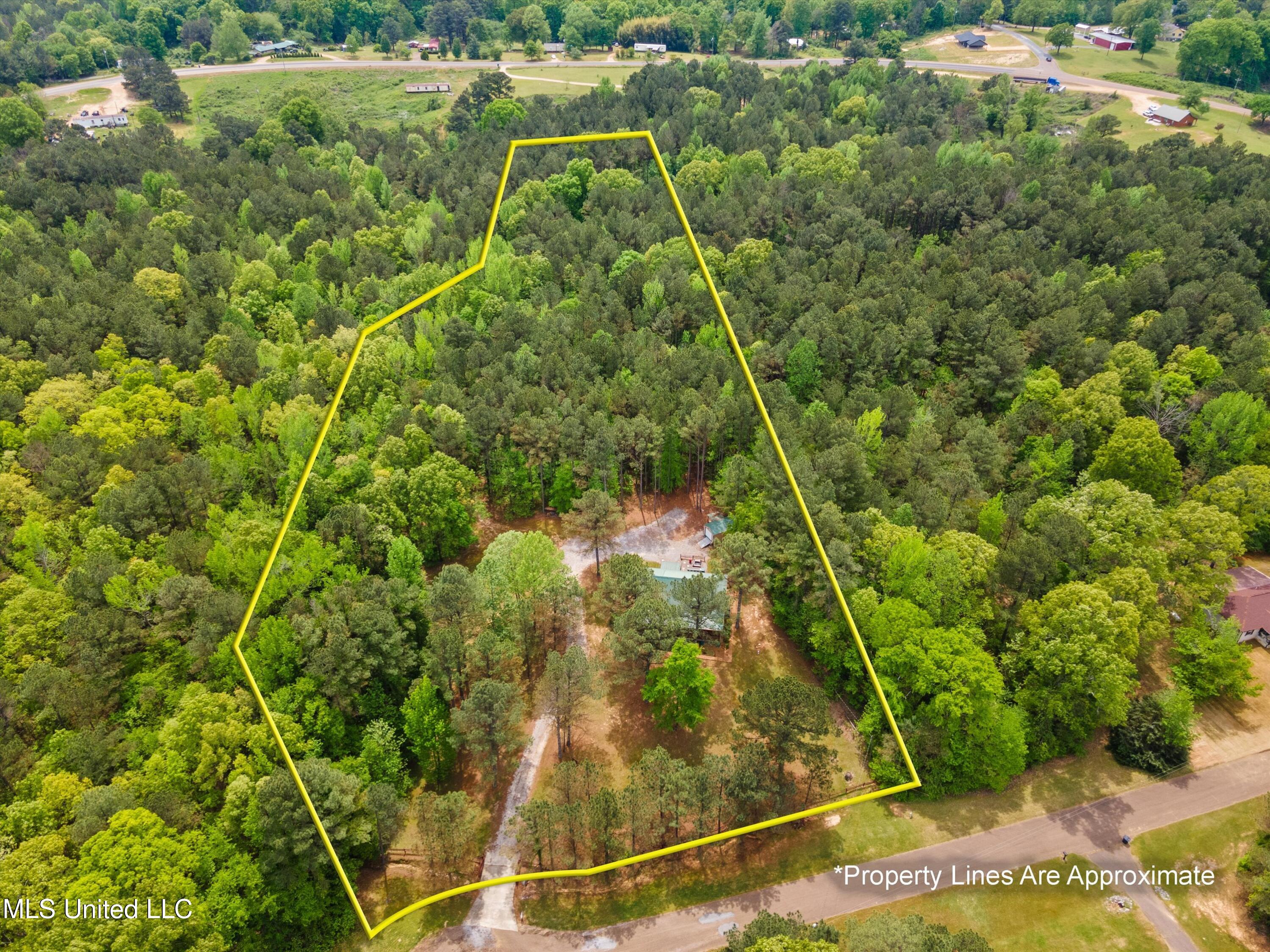 498 Chickasaw Ridge Pope, MS 38658 - Photo 3 of 43 Approximate Property Lines