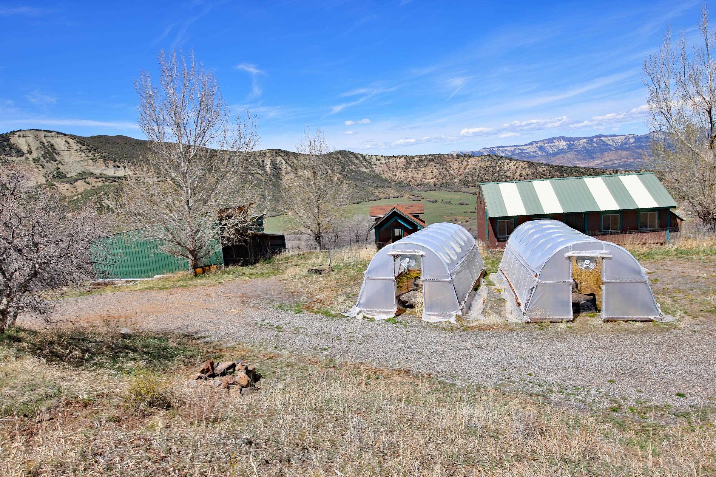 10822-60 60 75/100 Road Collbran, CO 81624 - Photo 33 of 42 a view of a backyard with large trees