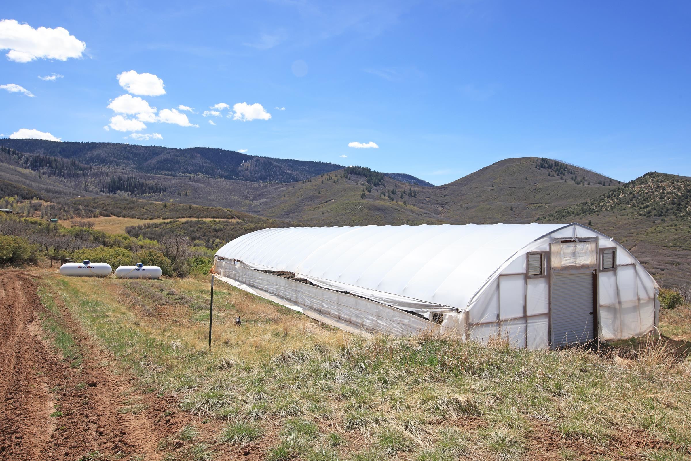 10822-60 60 75/100 Road Collbran, CO 81624 - Photo 35 of 42 a view of back yard of the house