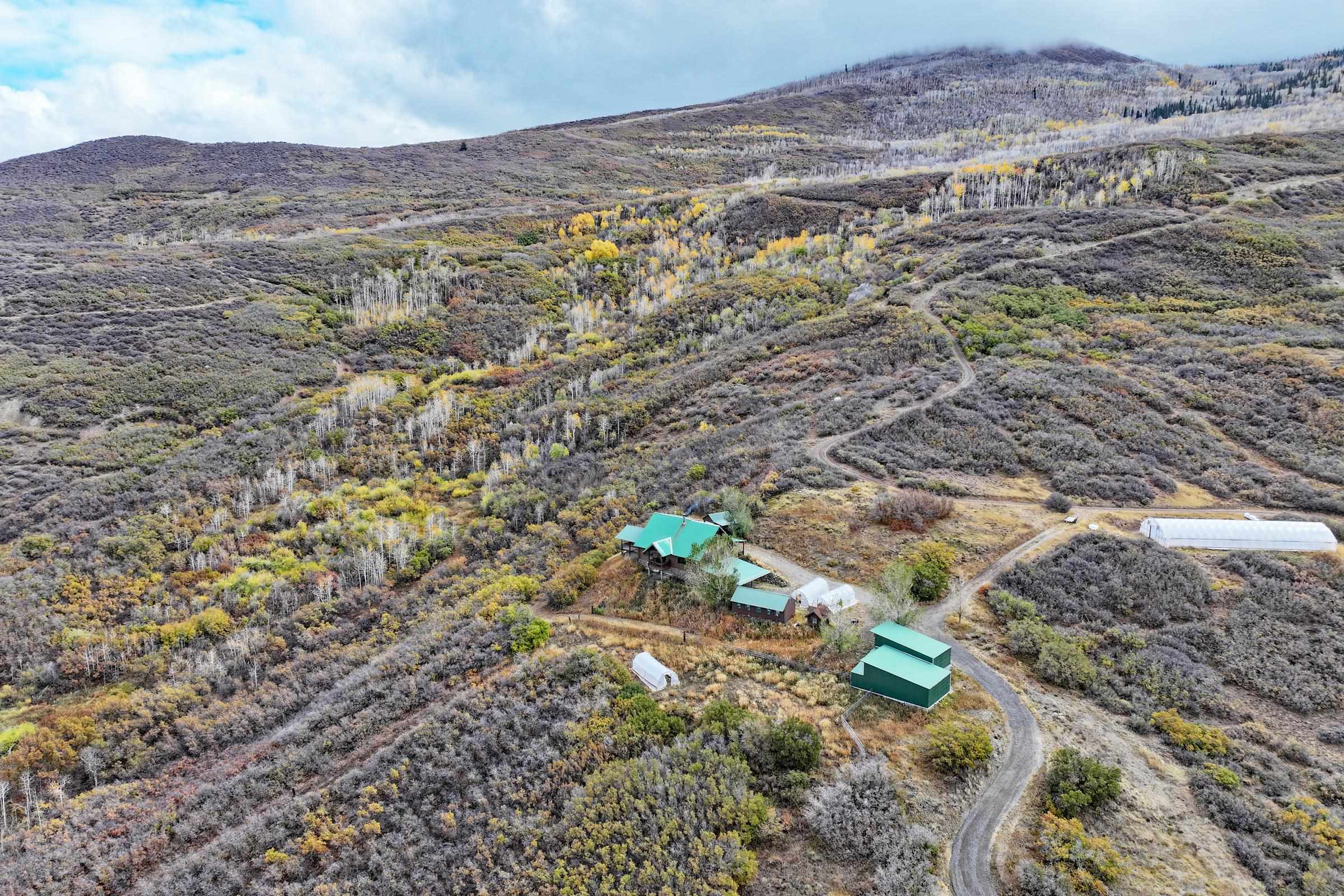 10822-60 60 75/100 Road Collbran, CO 81624 - Photo 40 of 42 a view of a field with mountains in the background