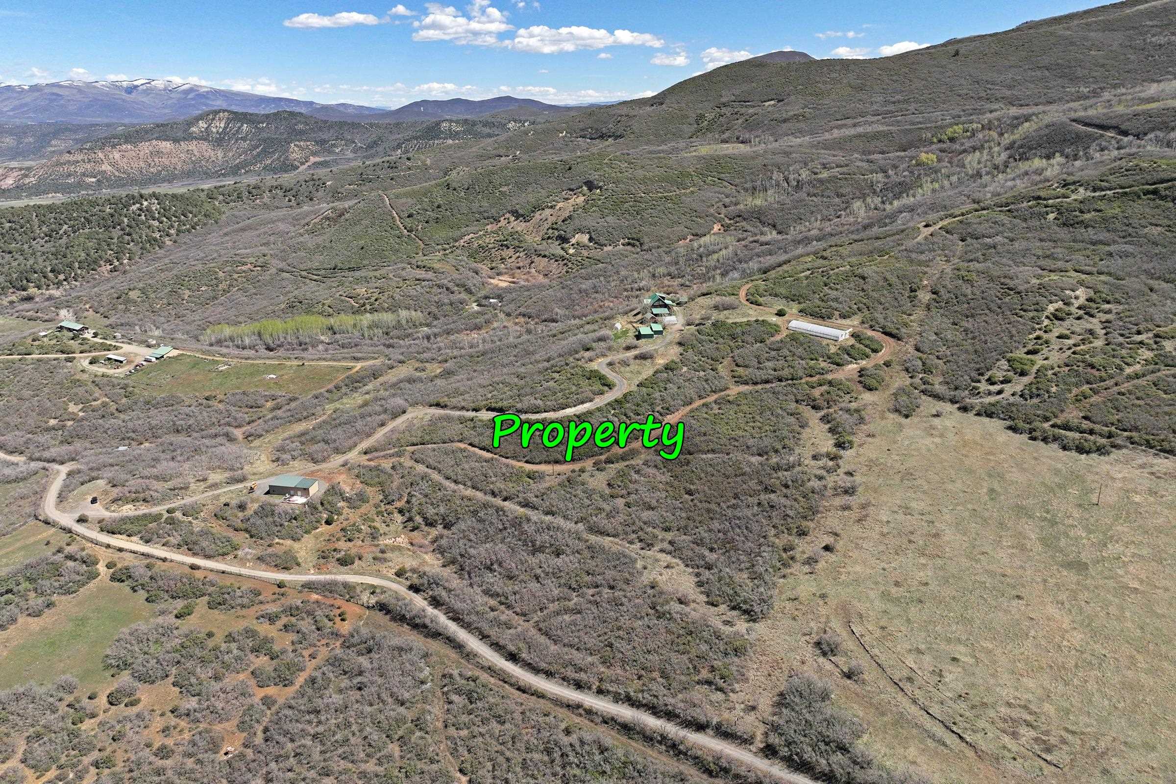10822-60 60 75/100 Road Collbran, CO 81624 - Photo 5 of 42 a view of a dry yard with mountains in the background