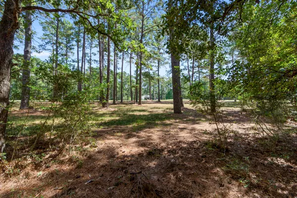 a view of outdoor space with trees all around
