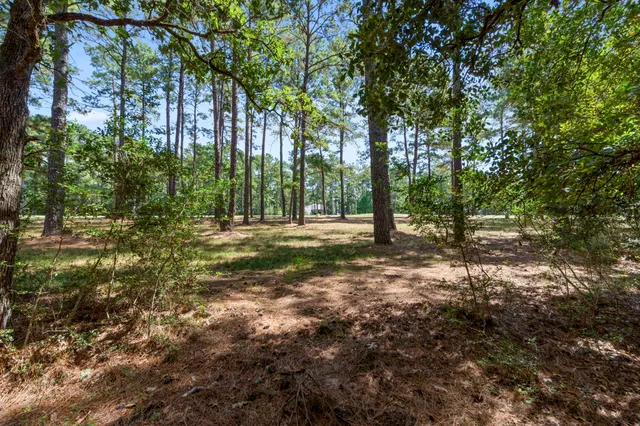 a view of outdoor space with trees