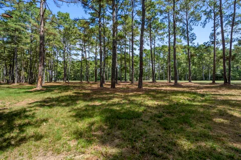 a view of outdoor space with trees all around