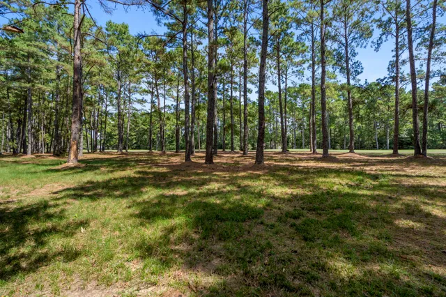 a view of outdoor space with trees all around