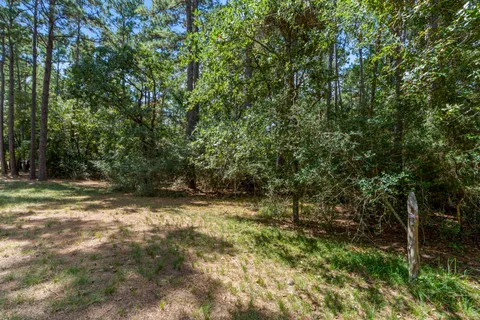 a view of a yard with plants and trees