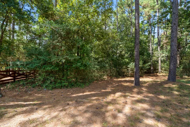 a view of a yard with a tree