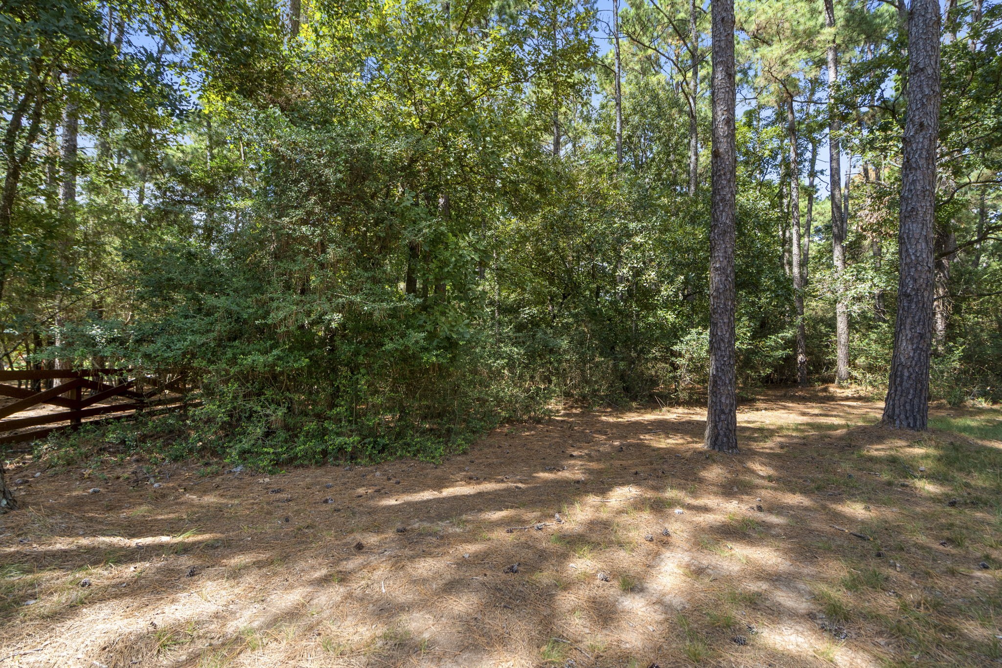 37432 Clubhouse Lane Magnolia, TX 77355 - Photo 19 of 30 a view of a yard with a tree