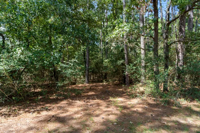 a view of outdoor space and trees