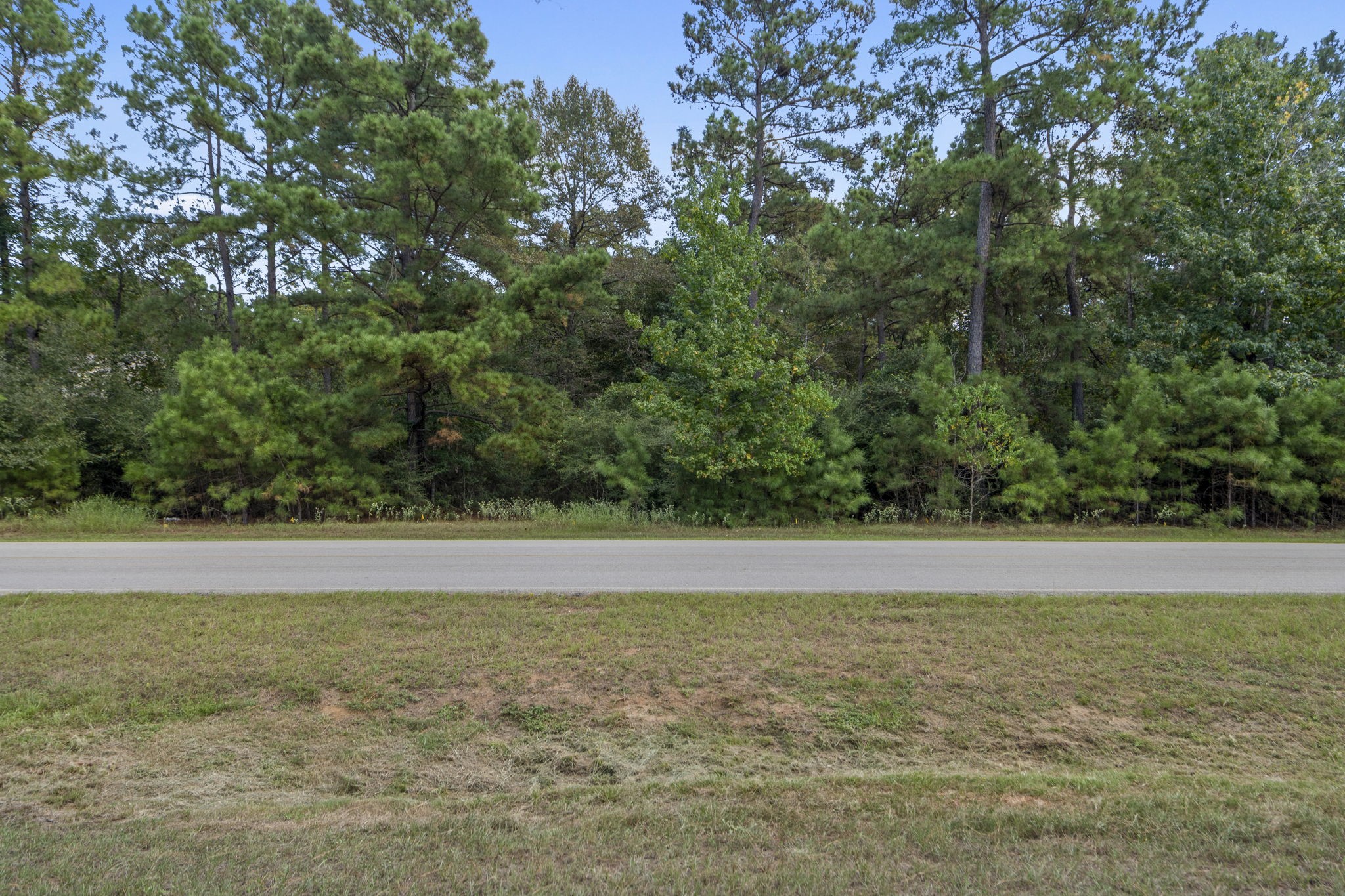 37432 Clubhouse Lane Magnolia, TX 77355 - Photo 5 of 30 a view of a green field with lots of trees