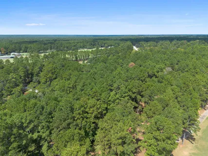 a view of a field with an ocean