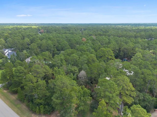 a view of a green field with lots of bushes