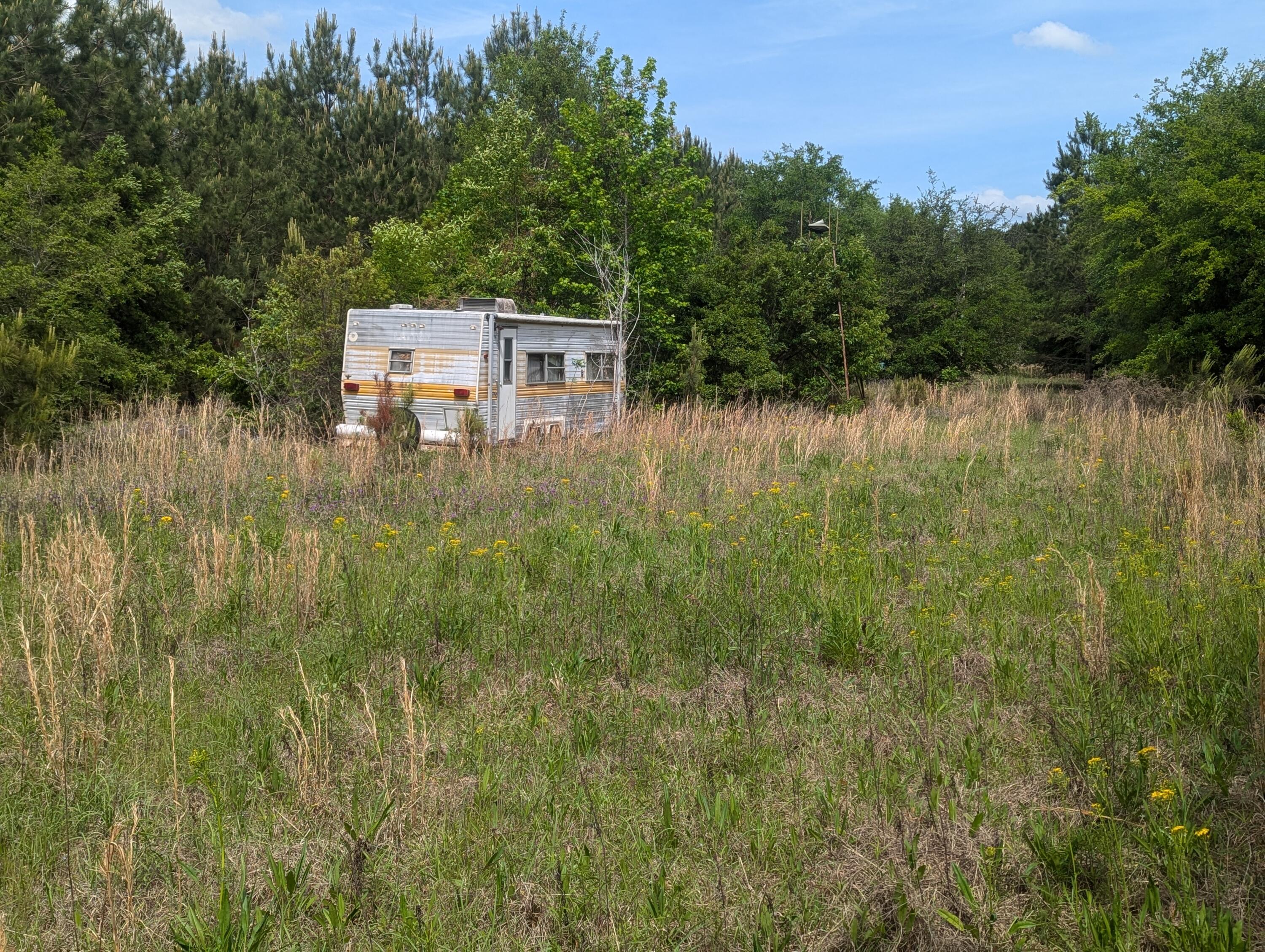 3 Rogers Road Manning, SC 29102 - Photo 1 of 12 PXL_20250421_191948276