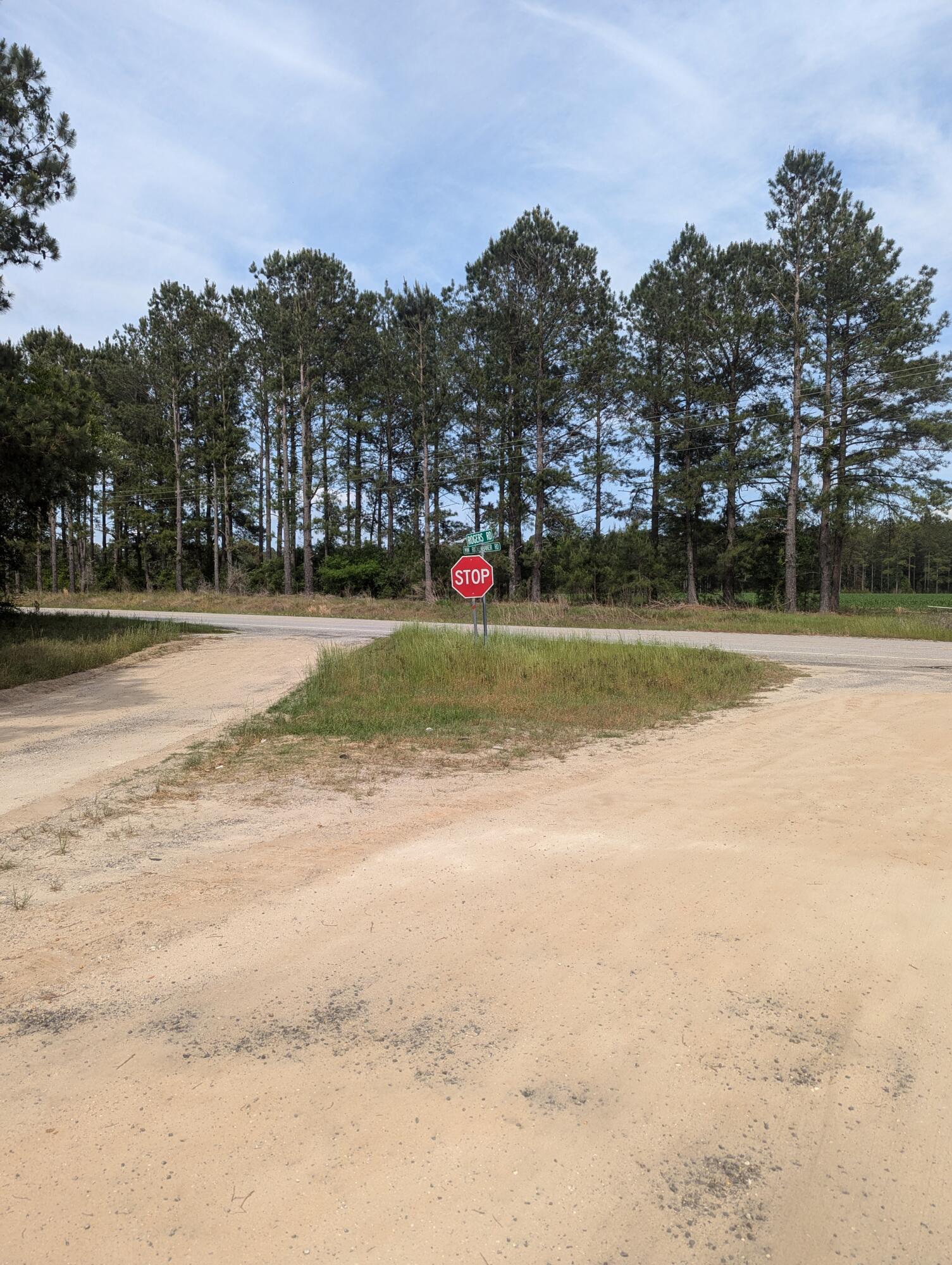 3 Rogers Road Manning, SC 29102 - Photo 12 of 12 PXL_20250421_194118301 2