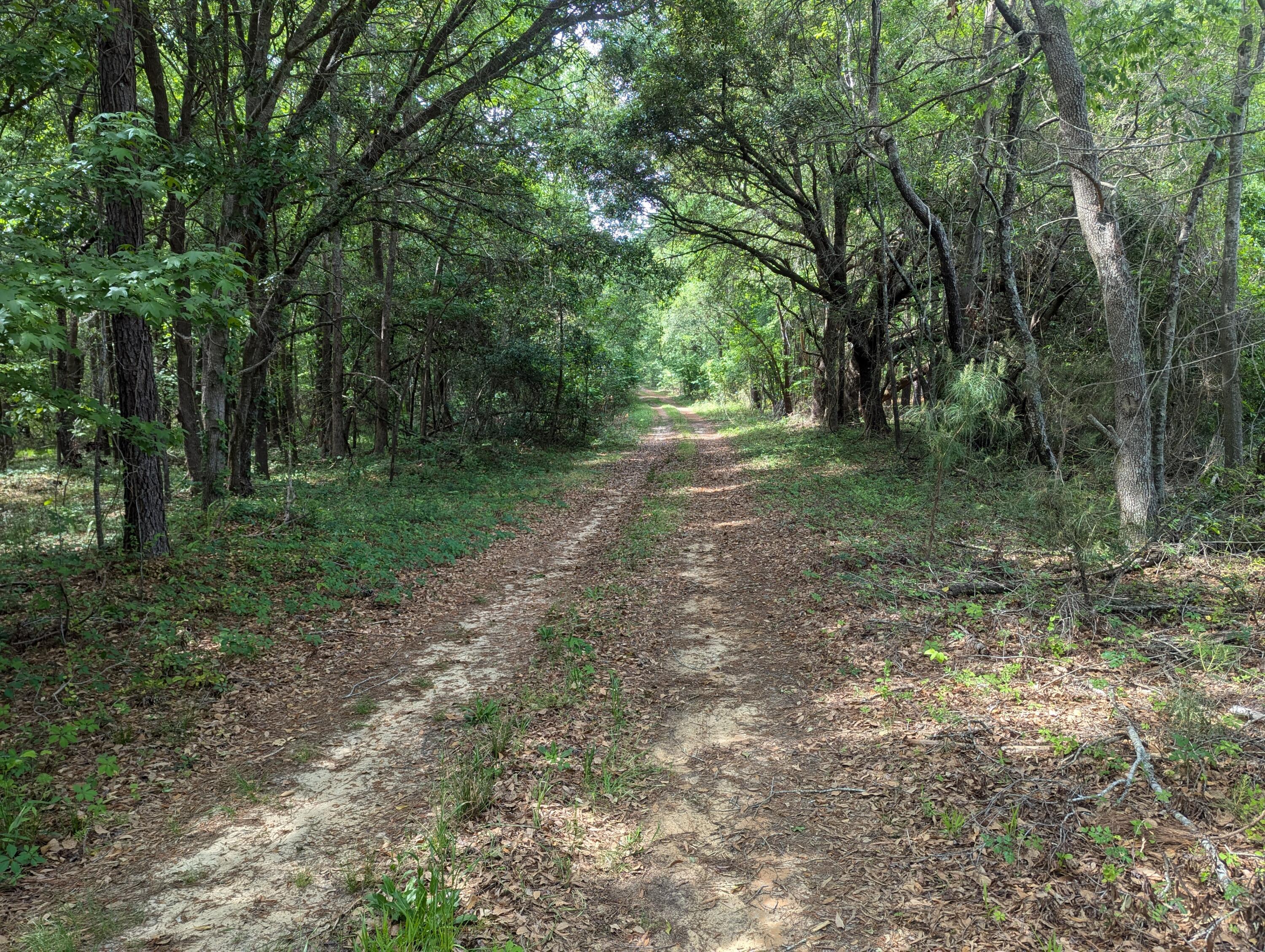 3 Rogers Road Manning, SC 29102 - Photo 3 of 12 PXL_20250421_193816974