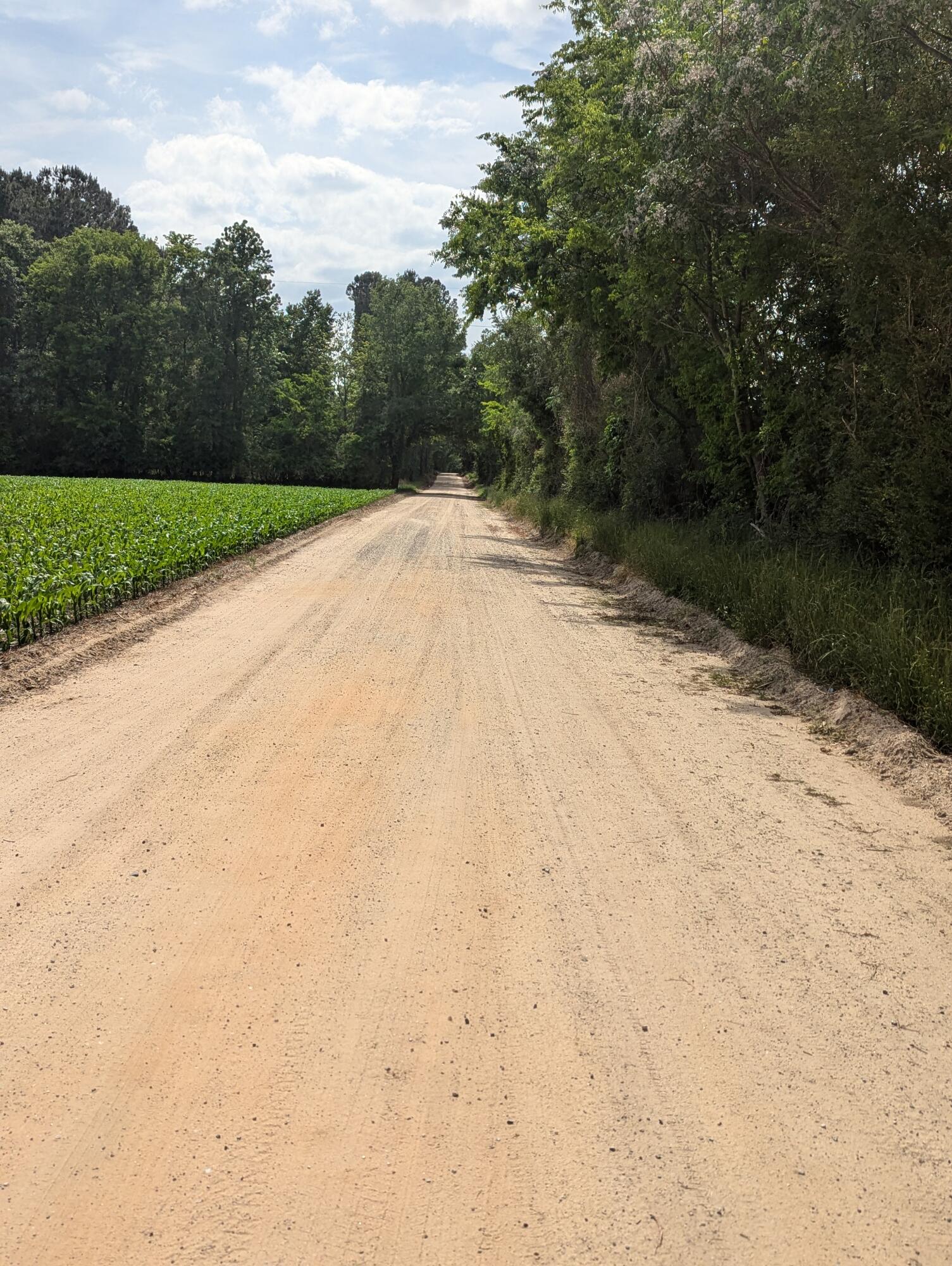 3 Rogers Road Manning, SC 29102 - Photo 5 of 12 PXL_20250421_194251386