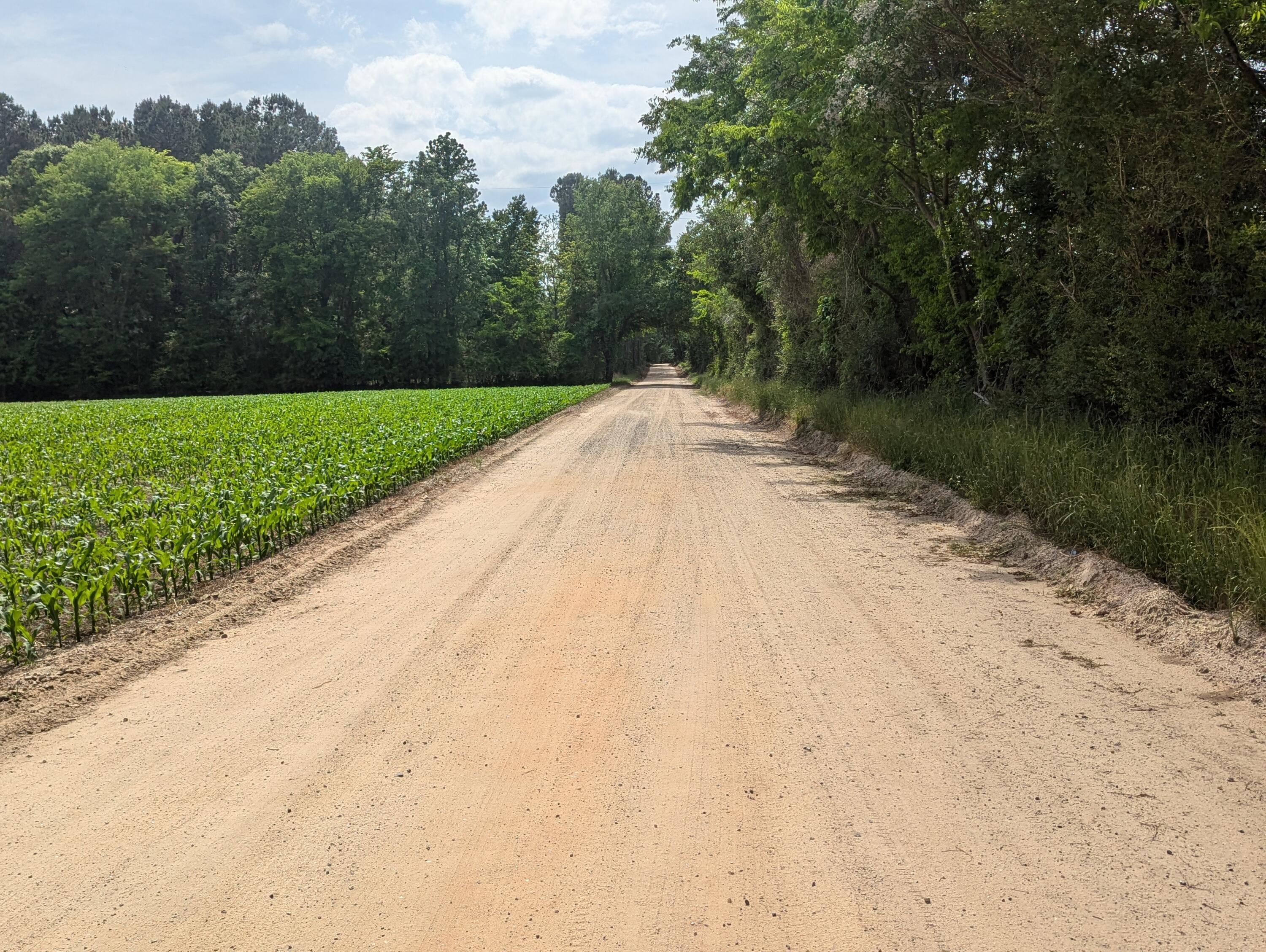 3 Rogers Road Manning, SC 29102 - Photo 6 of 12 PXL_20250421_194247573